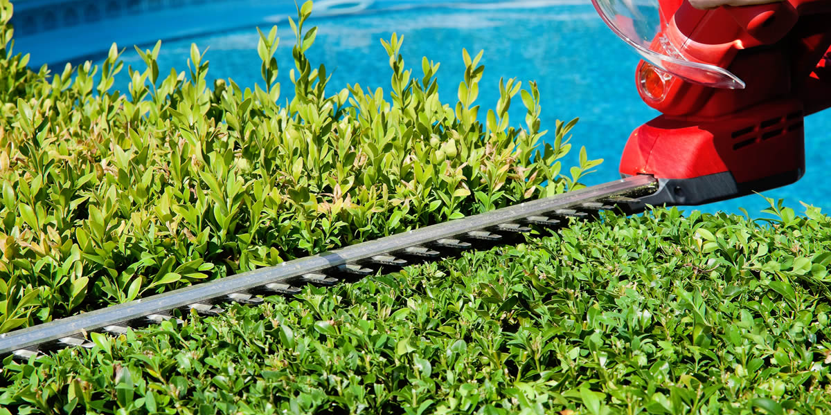 Mantenimiento de jardines